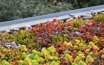 the cost of Leake Commonside green roof installation