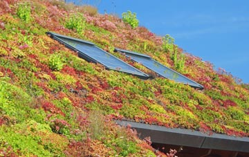 Leake Commonside living roof systems