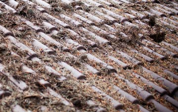 Leake Commonside roof cleaning companies