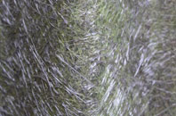 Leake Commonside fibreglass roof work